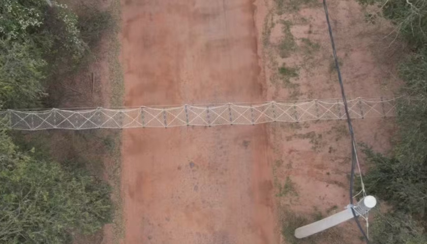 Em Alta Floresta (MT), sete pontes suspensas entre árvores foram instaladas para proteger macacos raros da Amazônia. Mais de 4.900 travessias foram registradas em nove meses, evitando atropelamentos.  A ação é monitorada por câmeras e divulgada mensalmente pela bióloga Maelle Lima no “bichômetro” da praça das Capivaras.