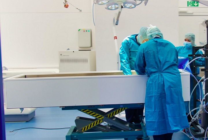 Agora, a Tomorrow Bio visa preservar estruturas neurais e alcançar a criopreservação reversível até 2028. Estou bastante confiante em dizer que a probabilidade é maior do que a cremação, se não houver mais nada, ressaltou Kendziorra.