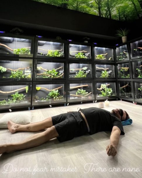 Além disso, é preciso uma dedicação diária com limpeza dos terrários, troca de água e controle de temperatura. Durante a temporada de reprodução, a rotina fica ainda mais intensa.