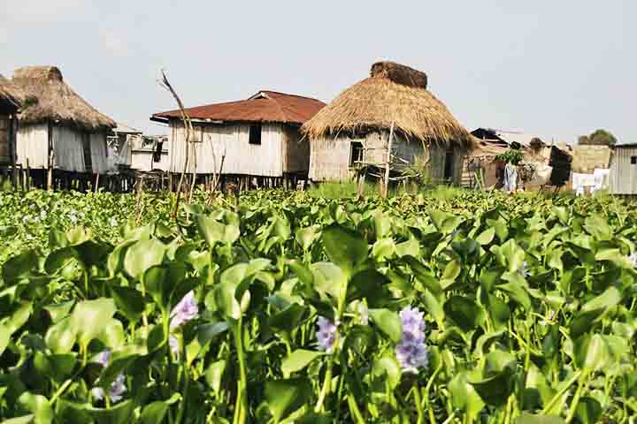 A economia beninense é uma das mais pobres do mundo e depende fortemente da agricultura de subsistência, do comércio regional e da produção de algodão, que é seu principal produto de exportação.