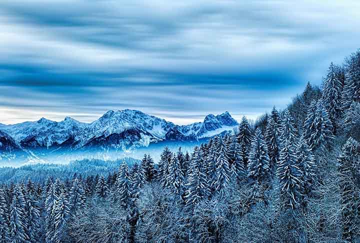 Noruega - Florestas de coníferas se estendem pelos fiordes, com espécies como o pinheiro-silvestre, adaptadas ao frio. 
Fiordes são vales estreitos e profundos formados pela erosão de geleiras, frequentemente com águas do mar invadindo suas extremidades
