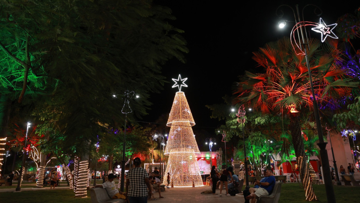 No município de Juazeiro do Norte, na região do Cariri, a decoração natalina contou com a instalação de uma Casa do Papai Noel, que está aberta à visitação