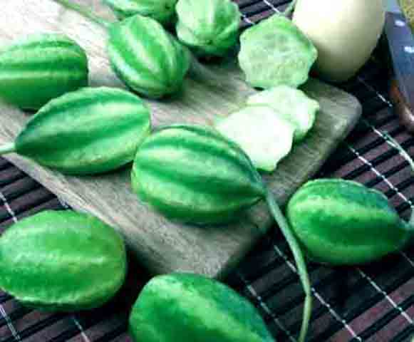 Além disso, ele é rico em fibras, que são cruciais para manter a saúde digestiva, promovem um trânsito intestinal regular e previnem a constipação. Essa hortaliça também ajuda na saciedade e possui propriedades diuréticas que eliminam líquidos do corpo.