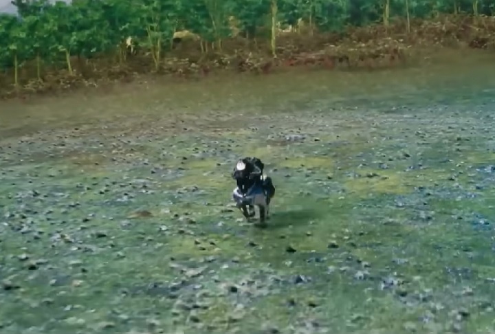 Feito para ser montado como um cavalo, ele funciona com um motor de 150 cilindradas movido a hidrogênio.