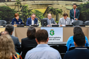 Comissão também aprovou contas do governo de 2024