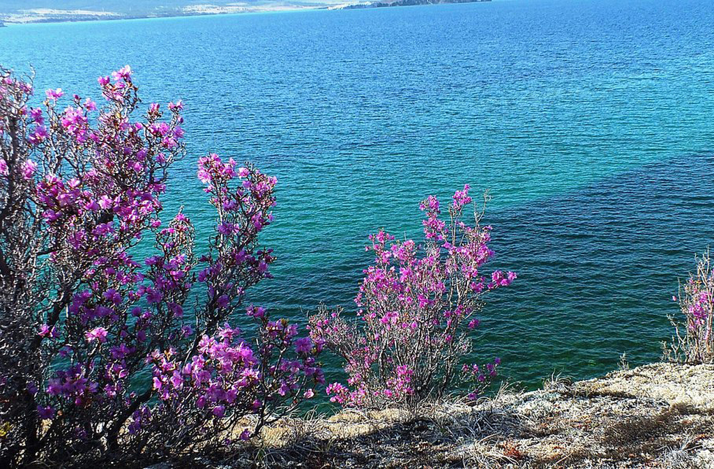 No verão, o lago se transforma em um paraíso de águas límpidas e trilhas verdes. As margens ficam cobertas por flores silvestres e pinheiros. A temperatura da água sobe para cerca de 10  graus, atraindo aventureiros para mergulhos gelados. É o momento ideal para explorar de barco ou caiaque.