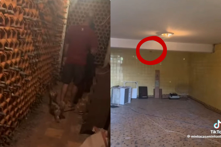 Nos vídeos, Neia também mostra que havia um casal de morcegos morando no local. 