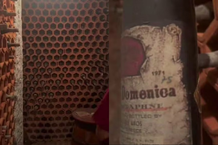 As bebidas estavam esquecidas desde os anos 1970 debaixo da garagem.