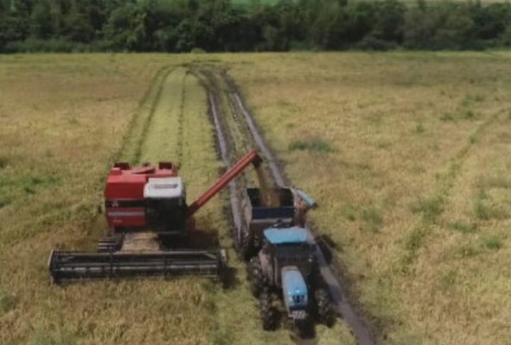 O tema já chegou ao Congresso por meio do PL 5080/2023, que propõe proibir o princípio ativo em todo o território nacional. 