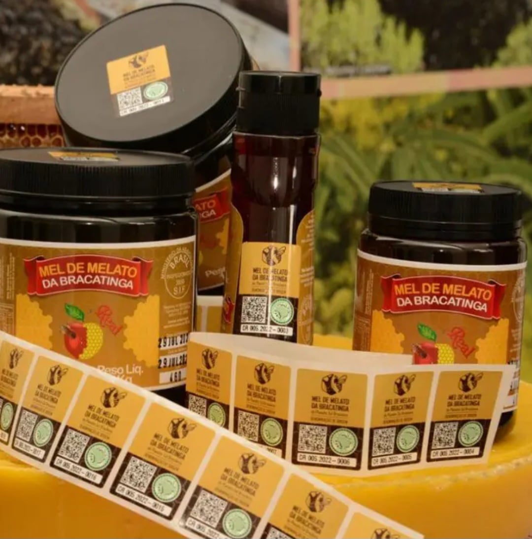 O melato da bracatinga conquistou status de “produto de excelência” depois que pesquisas internacionais identificaram sua composição diferenciada: rico em sais minerais, aminoácidos e com baixa cristalização. 