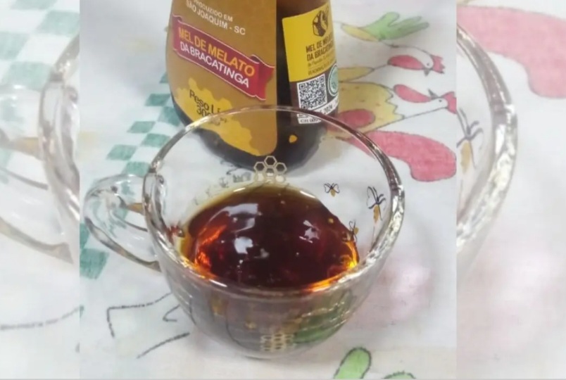 Para apicultores como Joel de Souza Rosa, o mel que antes valia quase nada se tornou precioso: o preço por quilo praticamente dobrou, e o mel ganhou reputação de “ouro negro”, com mercado interno e externo valorizando suas qualidades. 