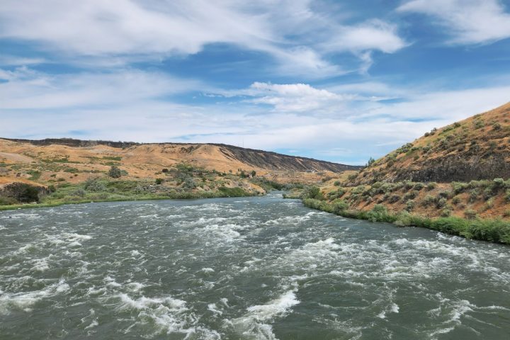 Resíduos do composto são persistentes, contaminam o solo, escoam para rios e chegam ao consumo humano por meio do ar, da água potável e de alimentos — o tratamento de água atual não é eficaz na sua remoção.