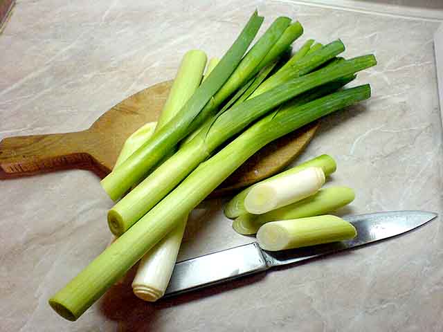 No País de Gales, o alho-poró é um símbolo da guarda nacional e é usado em celebrações, como o Dia de São Davi. Ele, então, é um ingrediente importante em muitas culinárias do norte da Europa e é cultivado em vários países do Velho Continente. 
