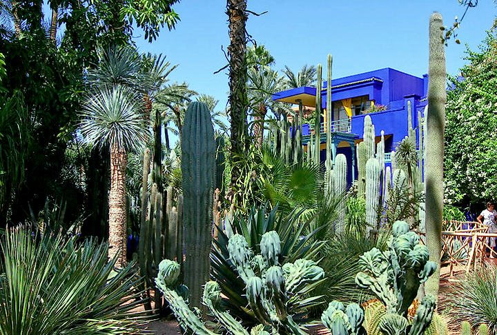 Tem três mil espécies de plantas. Foi inaugurado em 1931 por Jacques Majorelle, um artista plástico francês que deu o nome ao parque. 