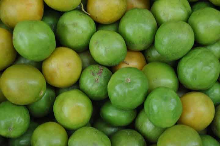 Fruta nativa do semiárido brasileiro e símbolo da Caatinga, o umbu passou por um estudo científico, que revela que este alimento reúne compostos bioativos de alto valor, além de um perfil aromático singular.