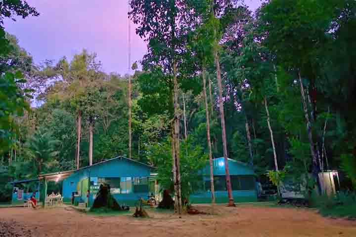 O observatório não se resume à torre principal. Ao redor dela, existe um conjunto de estruturas menores, plataformas de monitoramento, laboratórios de campo e equipamentos que acompanham variáveis do solo, da vegetação e da biodiversidade. 

