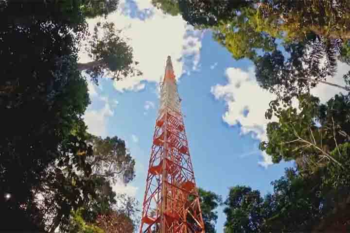 Trata-se de uma torre metálica de 325 metros de altura que ultrapassa o dossel da floresta e permite a coleta de dados atmosféricos em uma escala sem precedentes. 
