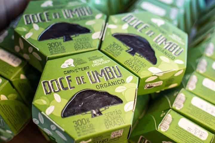 O extrato de suas folhas demonstrou ter ação anti-inflamatória e antifúngica, assim como o ferro presente no fruto auxilia na formação do sangue e no combate à anemia. 