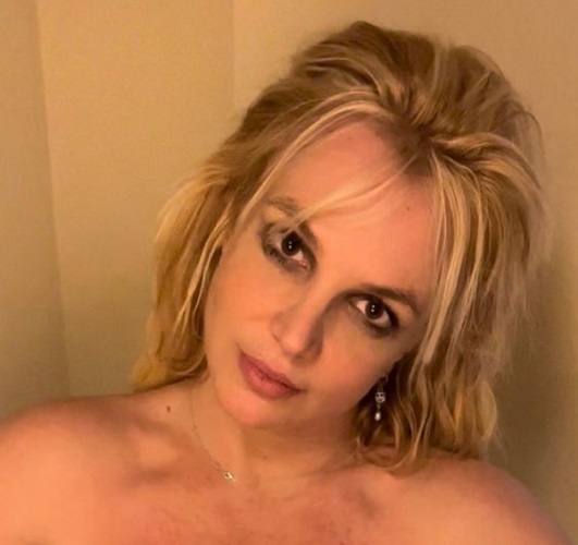 As mechas da cantora foram recolhidas por um salão da Califórnia e postas em um leilão por cerca de 1 milhão de dólares. E essa não foi a primeira vez que um item relacionado à artista foi colocado à venda.