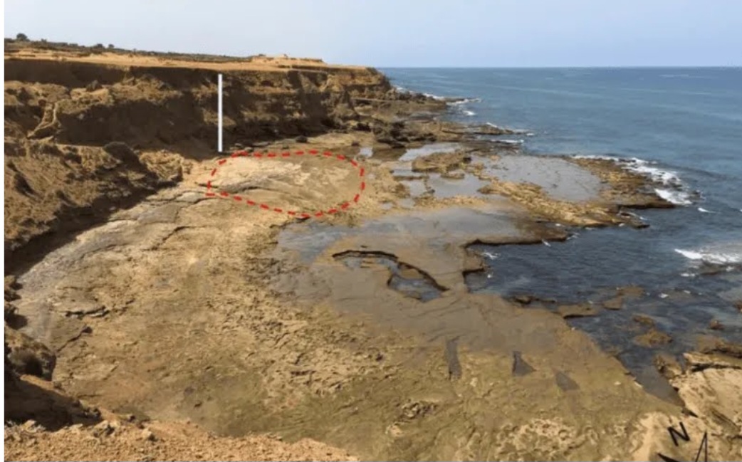 Pesquisadores da Universidade do Sul da Bretanha da França descobriram pegadas humanas que, conforme análises no local,  foram deixadas há cerca de 90 mil anos no Marrocos. O periódico Scientific Reports divulgou o caso.  