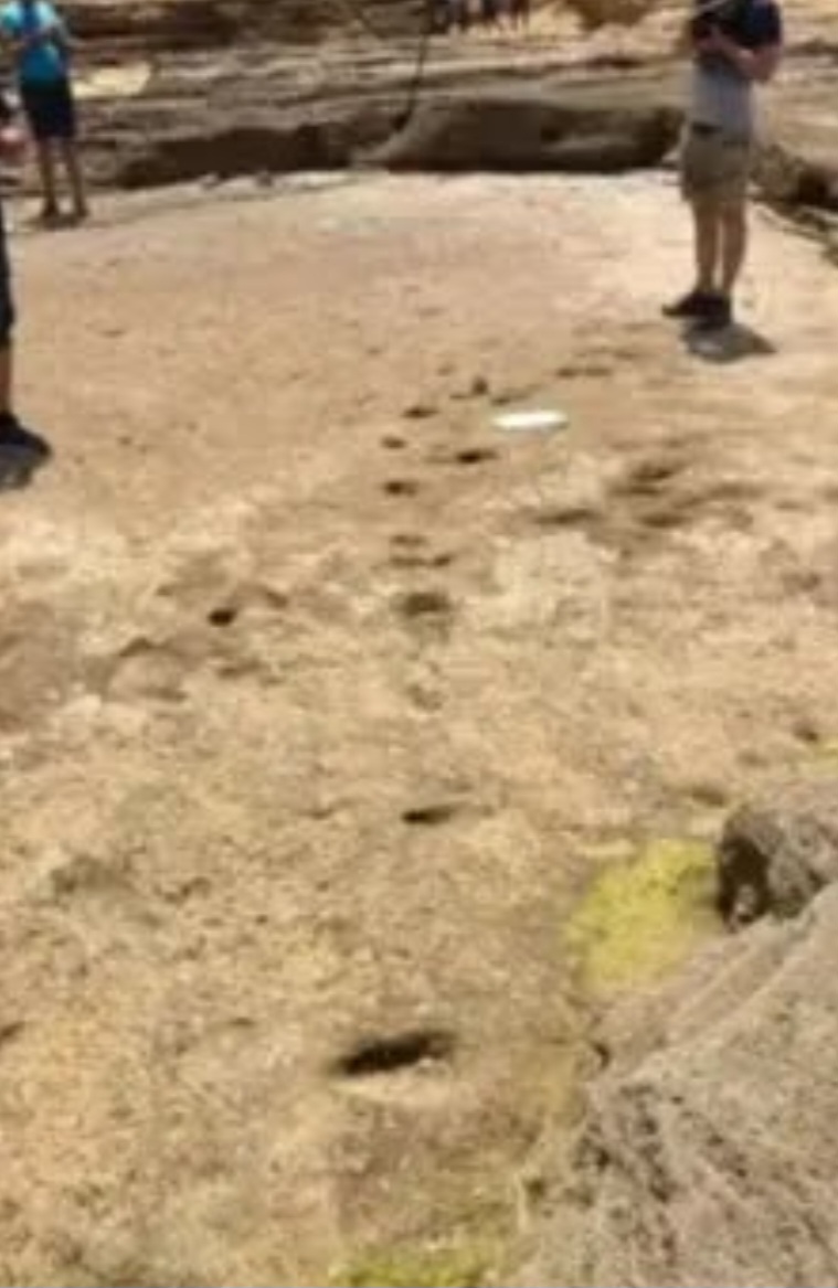 Segundo os arqueólogos, essas marcas de pés estão entre as mais antigas já identificadas em todo o mundo.