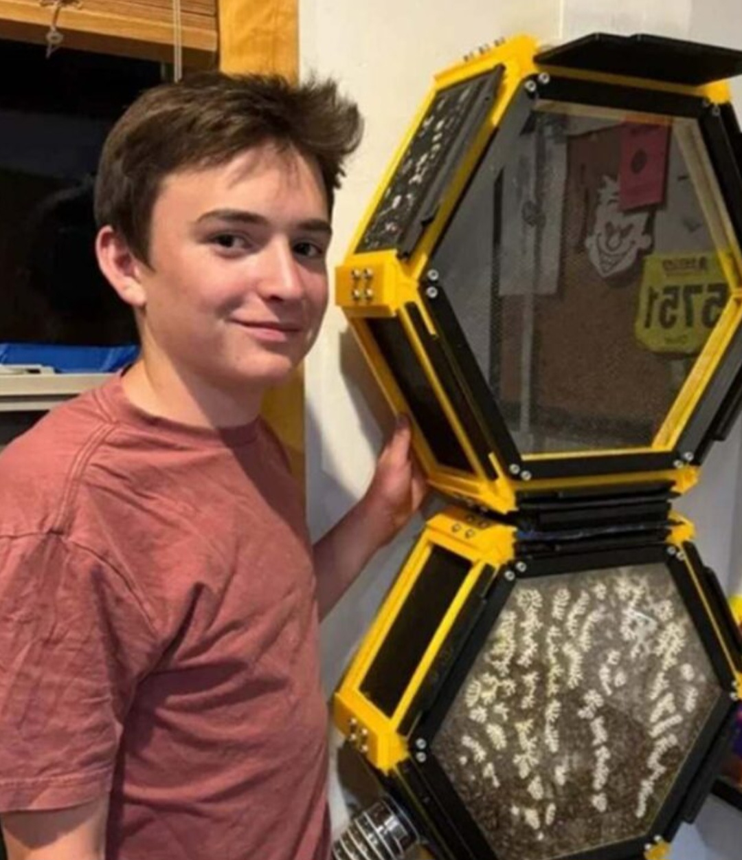 Iniciativas isoladas e inspiradoras como a de Oliver Taylor são sempre bem-vindas mostrando o potencial de espaços aparentemente reduzidos para a preservação das abelhas.