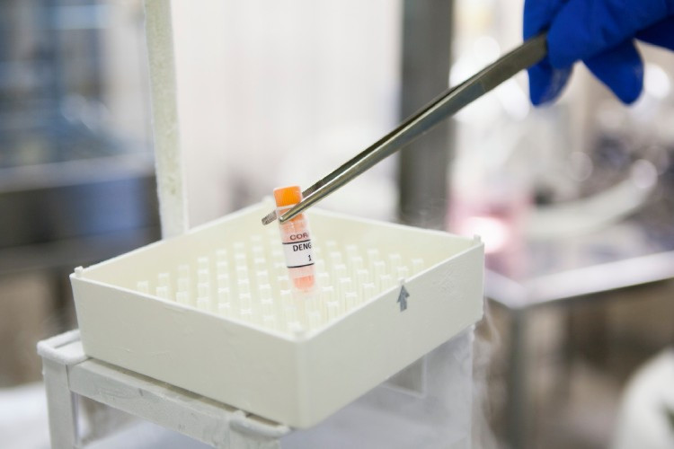 Tetravalente, a Butantan-DV re&uacute;ne os quatro sorotipos da dengue 