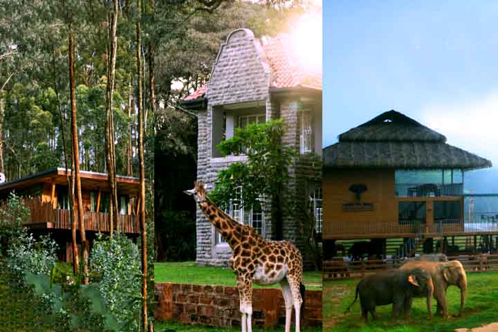 A seleção se apoiou em acesso privilegiado a destinos isolados, experiências marcantes, compromisso com a sustentabilidade e eficiência na hospitalidade. Confira o ranking!