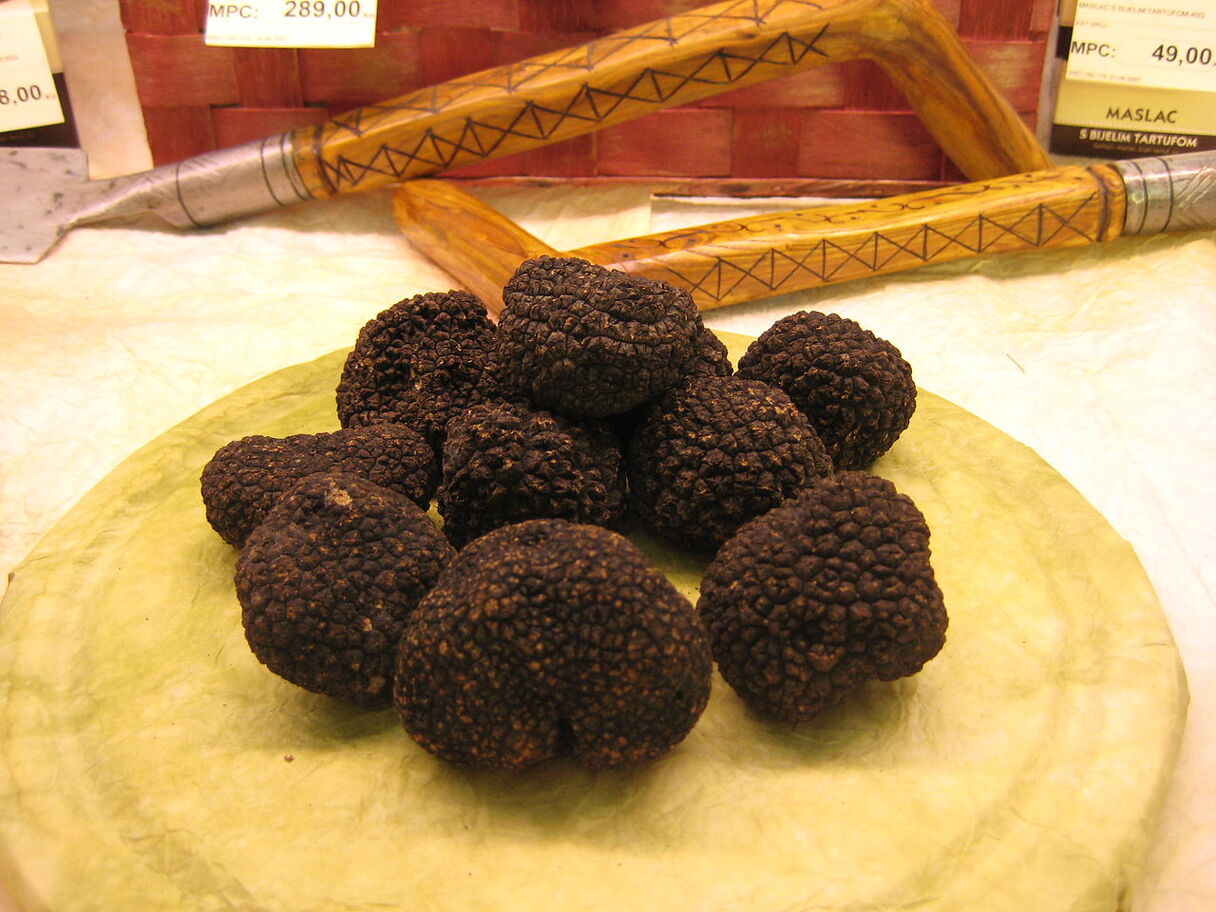 Na época, além de serem apreciadas por seu sabor e aroma únicos, as trufas negras eram conhecidas por suas propriedades medicinais.