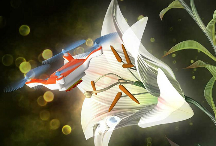 Os lírios são conhecidos por sua capacidade de se adaptar a diferentes climas e tipos de solo, o que contribuiu para sua disseminação global. 