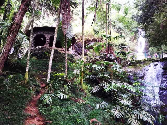 A fonte, envolta por trilhas e vegetação exuberante, é alimentada por águas naturais e cristalinas. O ambiente convida à contemplação e ao descanso, sendo ideal para casais e visitantes em busca de beleza natural e momentos de serenidade.