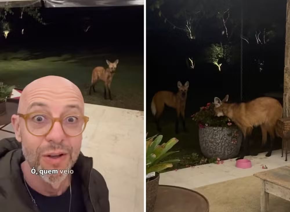 Marcel, responsável pelo escritório Allamanda Paisagismo, comentou com bom humor, em entrevista divulgada pela Casa e Jardim, que os lobos pareciam rejeitar espécies exóticas de plantas e prometeu substituí-las por nativas.