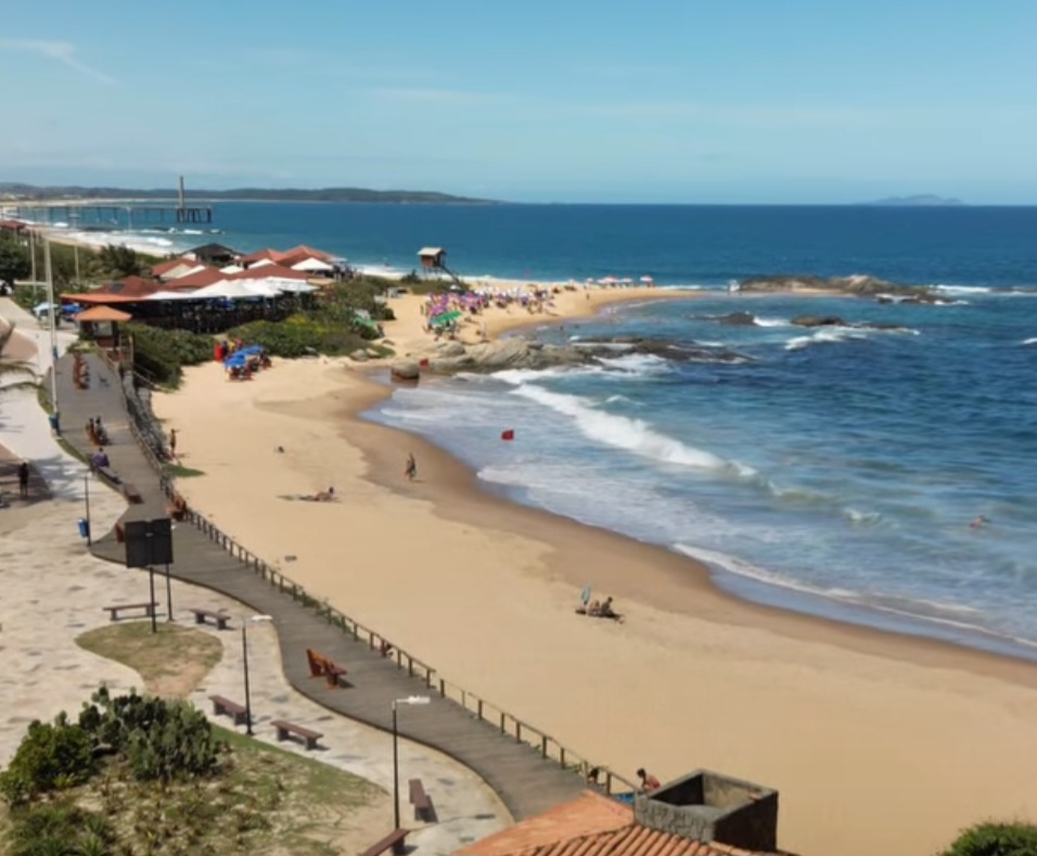 Esses peixes costumam nadar longe da costa e evitar humanos; só se aproximam em situações específicas, como ao perseguirem cardumes menores e avançarem em alta velocidade, o que pode gerar cortes acidentais com o bico afiado. Por isso, trata-se de um acidente raro, não de um comportamento típico da espécie.