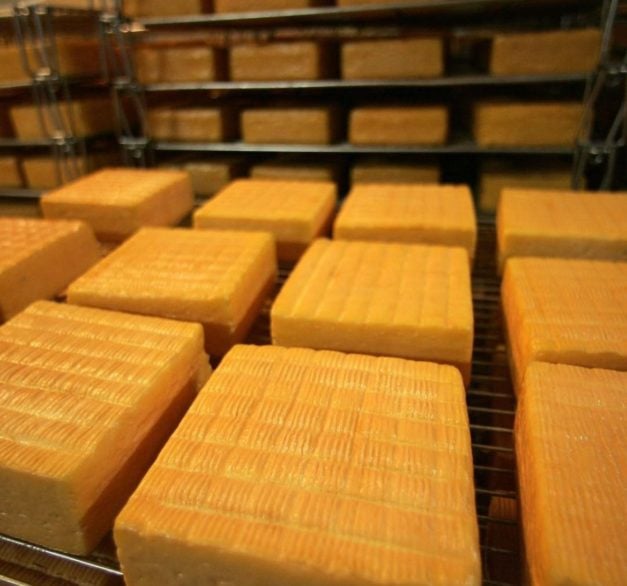 Queijo – Vieux-Boulogne: Em 2004, cientistas da Universidade de Cranfield, no Reino Unido, o classificaram este queijo francês como o mais fedorento do mundo.