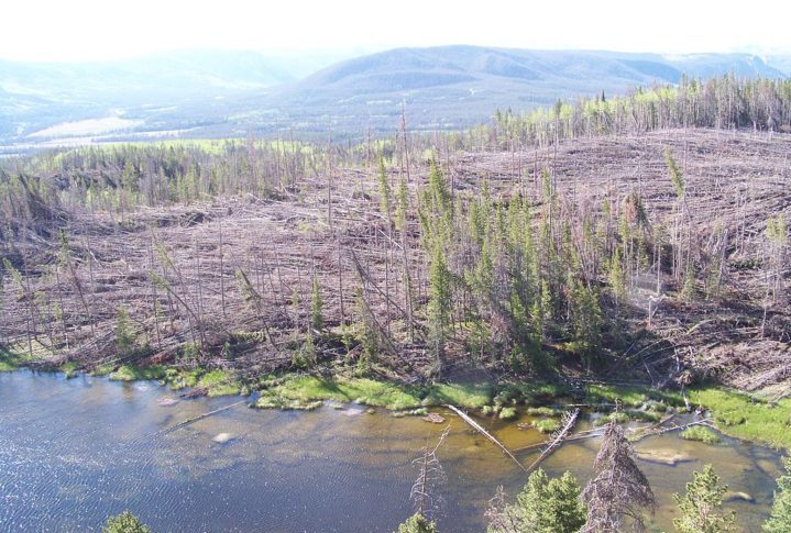 Apelidado também de downburst, é considerado o oposto de um tornado, embora possua um poder destrutivo equiparável.