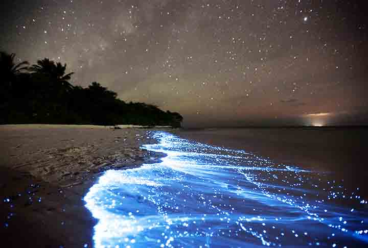 Ilha Vaadhoo - Ilha das Maldivas, no Oceano Índico, é conhecida pelo fenômeno bioluminescente causado por plânctons Mar de Estrelas. 