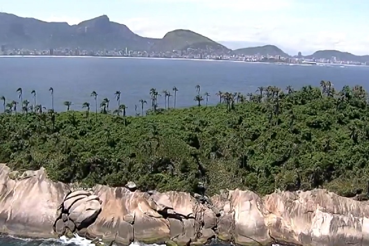 Essa é uma data muito simbólica para nós. Estamos prestes a alcançar nossa maioridade no mundo da conservação marinha, celebrou Tatiana Ribeiro chefe da unidade da Mission Blue Alliance.