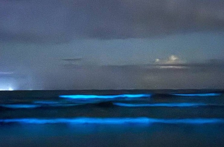 Moradores e turistas da vila de Itamambuca, em Ubatuba, no litoral norte de São Paulo, testemunharam um espetáculo luminoso no mar. Foi em março de 2025
