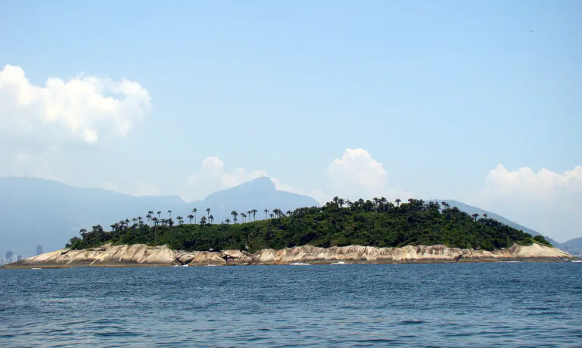 O guia combina rigor científico com linguagem acessível, tornando o conteúdo compreensível para diversos públicos. Além das informações sobre as espécies, inclui ilustrações botânicas que podem ser coloridas. A proposta é unir educação ambiental e engajamento cultural.