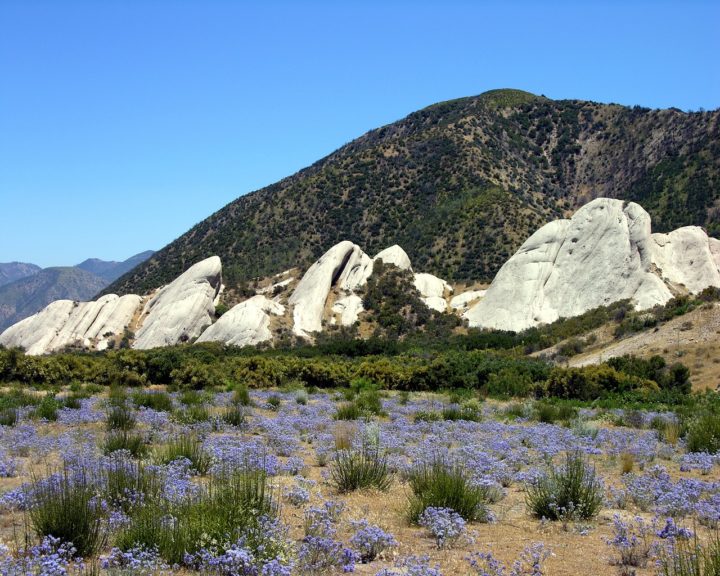 A falha se estende desde Point Arena, no norte da Califórnia, até Imperial Valley, no sul do estado.