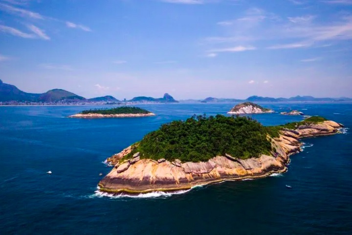 Fruto de mais de uma década de estudos dos especialistas Massimo Bovini e Luiz Berri, o guia reúne 15 espécies vegetais de destaque nas Ilhas Cagarras. Oferece ao público, ainda, uma visão detalhada da biodiversidade local. Há 15 anos, o arquipélago é reconhecido como Área de Preservação Ambiental.