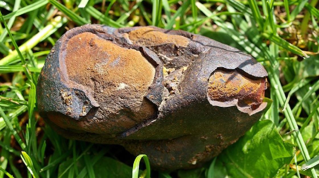 Meteorito Ã© um objeto rochoso originÃ¡rio do espaÃ§o, assim como um cometa, asteroide ou meteoroide. Ele passa pela atmosfera e por isso pode atingir a superfÃ­cie.