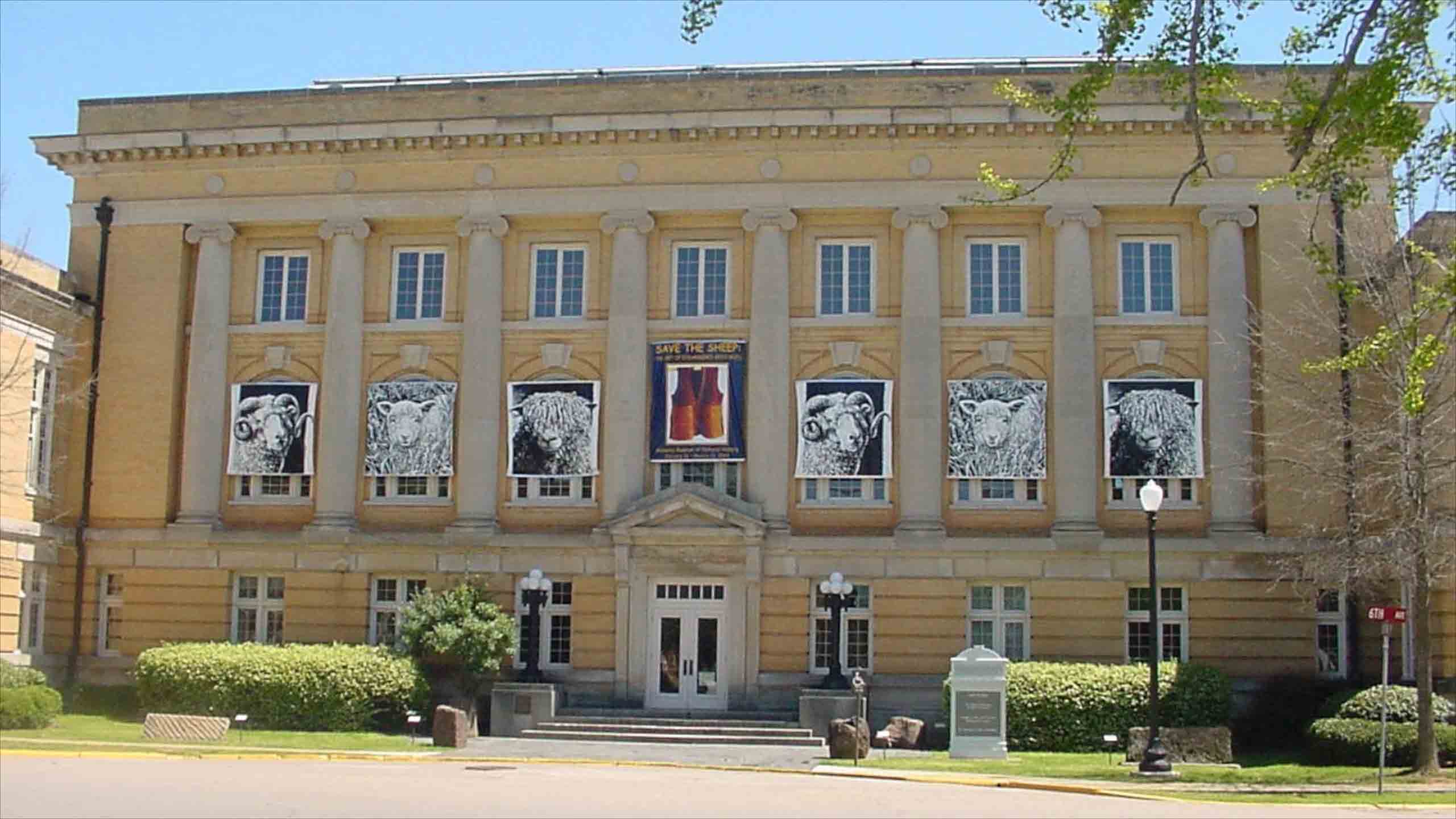 “O meteorito é meu. Sinto que Deus queria que ele chegasse até mim, até porque foi a mim que ele acertou”. Em 1972, 18 anos após o acontecimento, Ann faleceu. O meteorito foi doado para o Museu de História Natural do Alabama. 