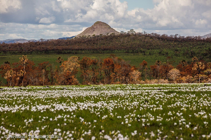 8ª- Parque Nacional da Chapada dos Veadeiros – Fica em Goiás e tem 655 mil m². Ele foi declarado Patrimônio Mundial Natural pela Unesco.