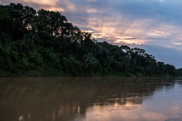 O achado ocorreu às margens do Rio Acre, na região de Boca dos Patos, em Assis Brasil, próximo à fronteira com o Peru.