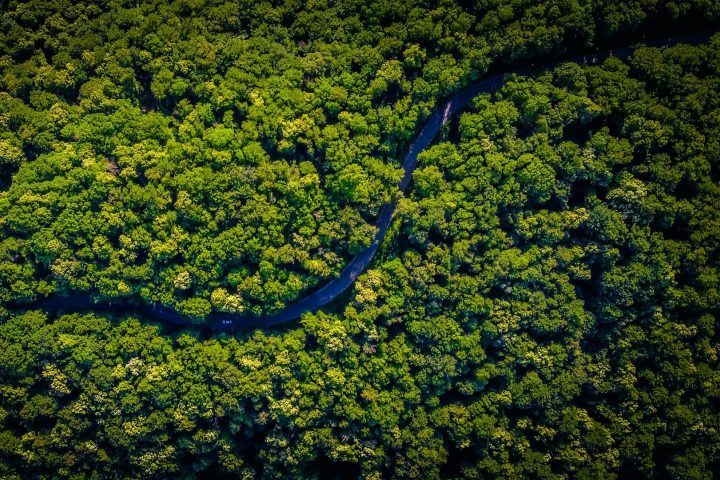 No passado, a região foi alvo de disputas coloniais entre potências europeias, como Reino Unido, França, Países Baixos, Espanha e Portugal, especialmente a partir do século 17.
