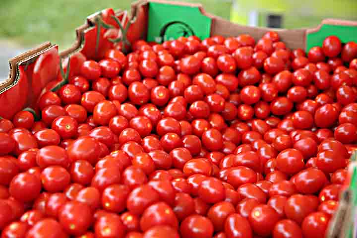 Esses estudos revelaram que a miraculina não é doce em si, porém altera a percepção do sabor através da ligação com os receptores gustativos. 