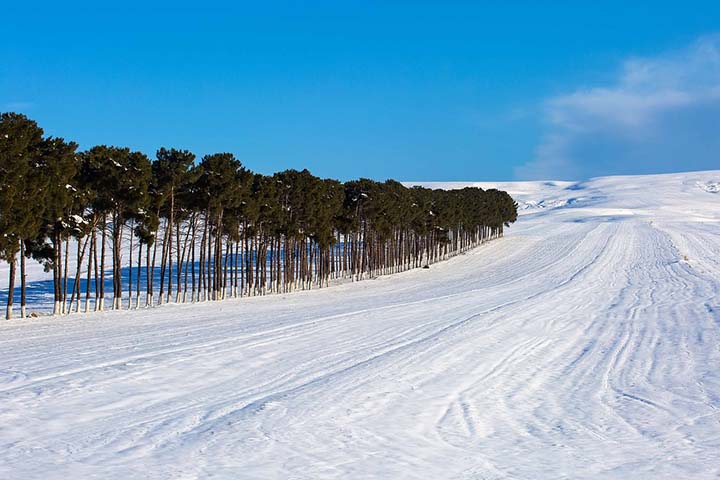 O Azerbaijão também é conhecido por suas paisagens diversas, que incluem montanhas no Cáucaso, planícies férteis e a costa do mar Cáspio.