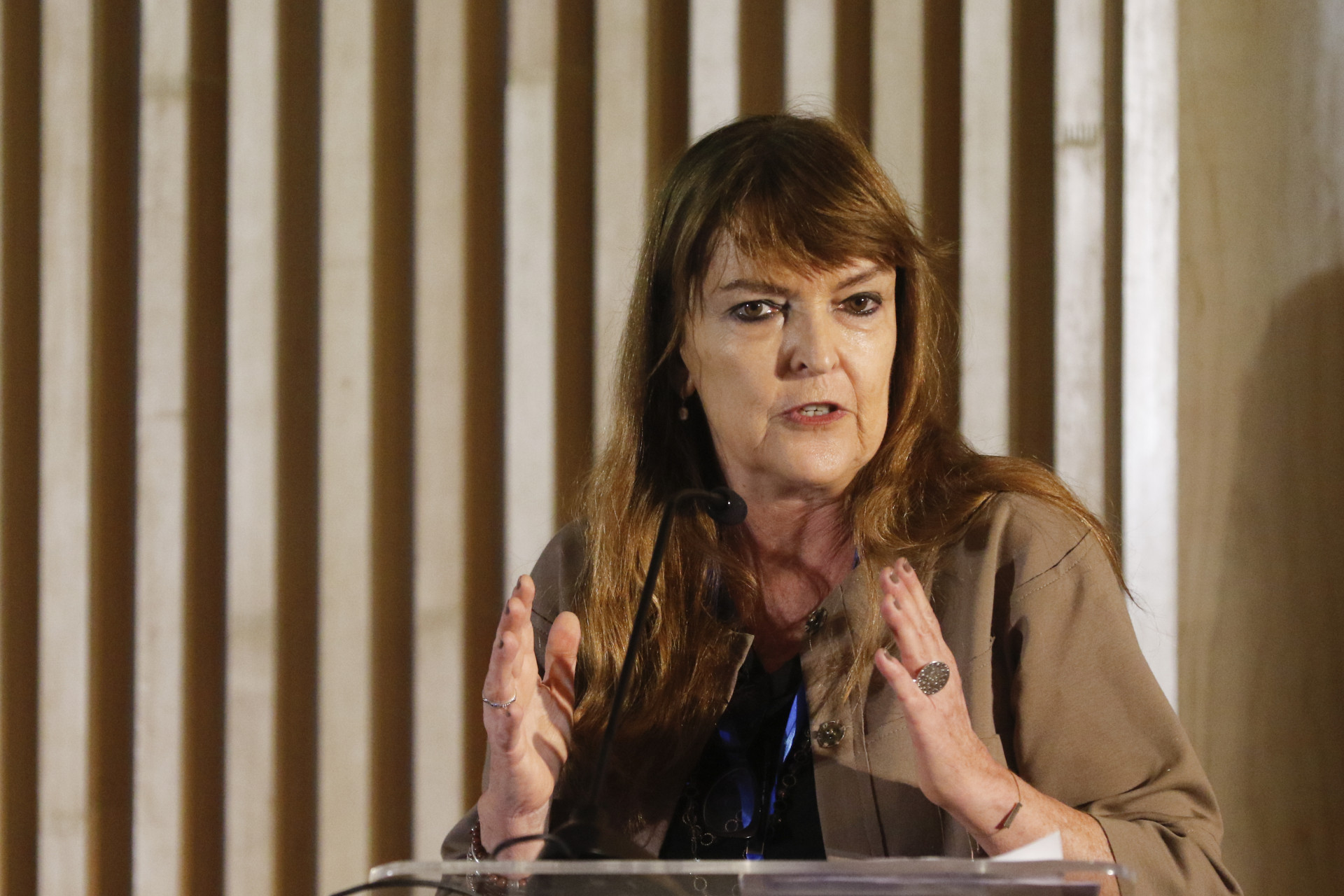 ￼SECRETÁRIA de América Latina e Caribe, Gisela Padovan (Foto: Fernando Frazão/Agência Brasil)