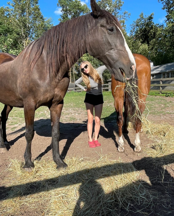 Entre curiosidades, Amanda quase seguiu carreira como cantora de ópera, mas escolheu o cinema. Ela também é apaixonada por animais, cuida de cavalos e mantém envolvimento em projetos de preservação ambiental.
